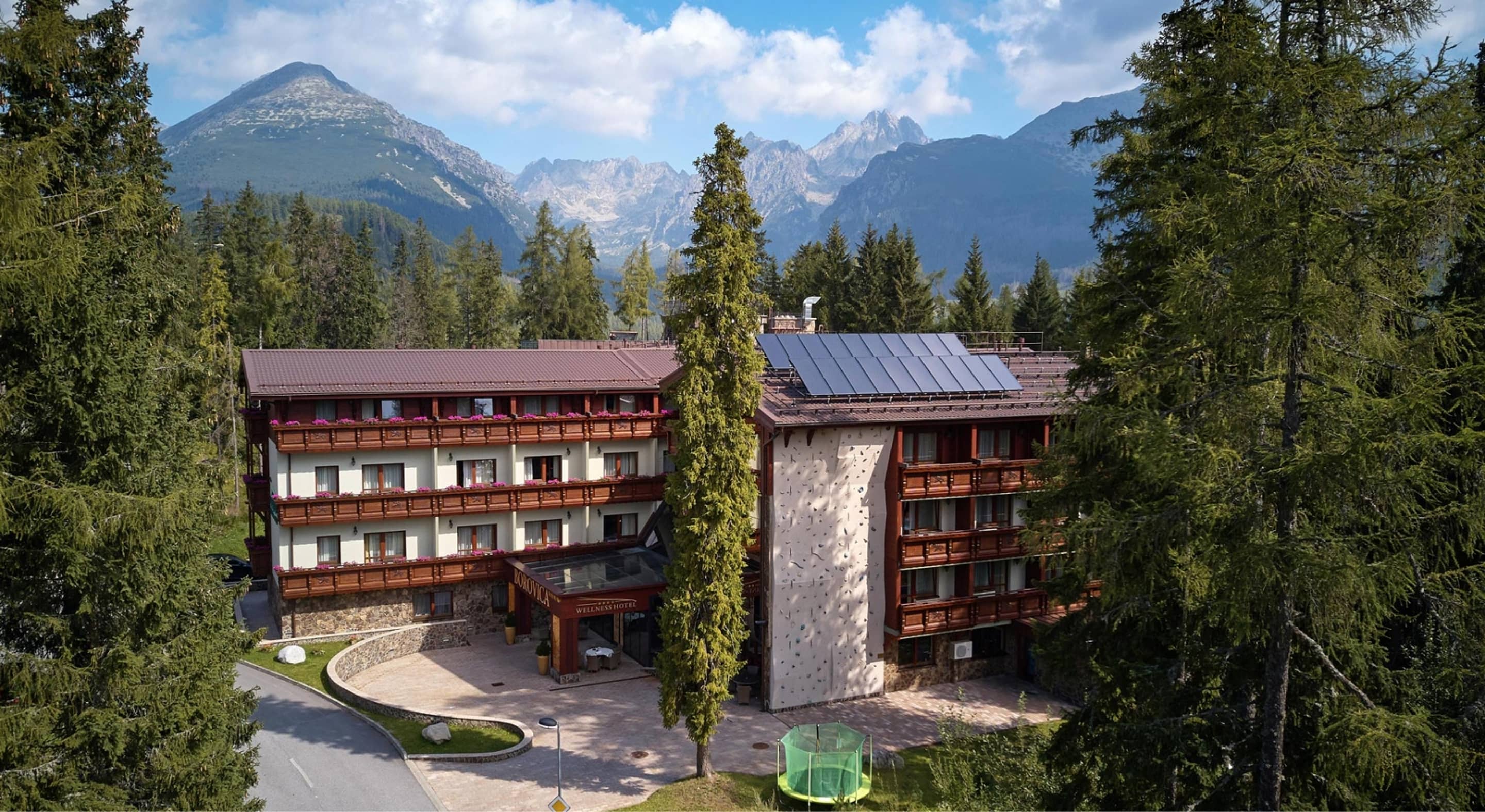 Wellness Hotel Borovica****
